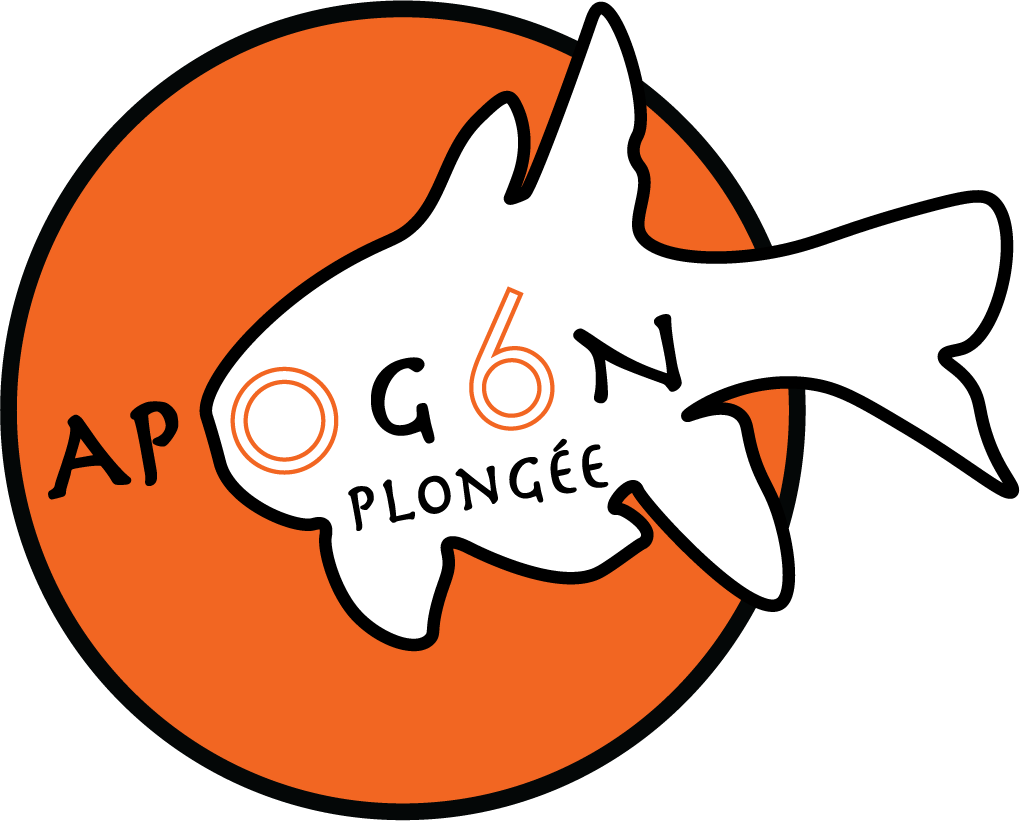 Apogon Plongée